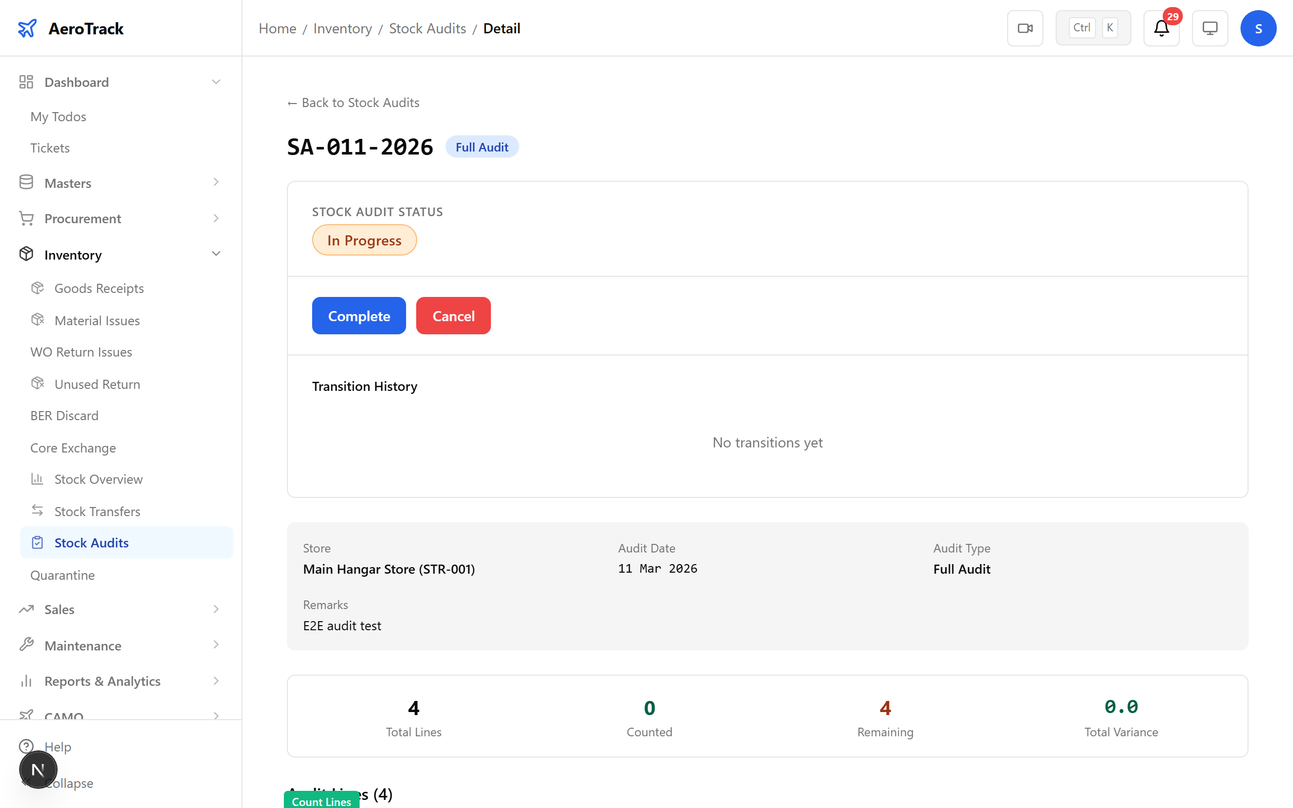 Audit detail with count lines and variance summary