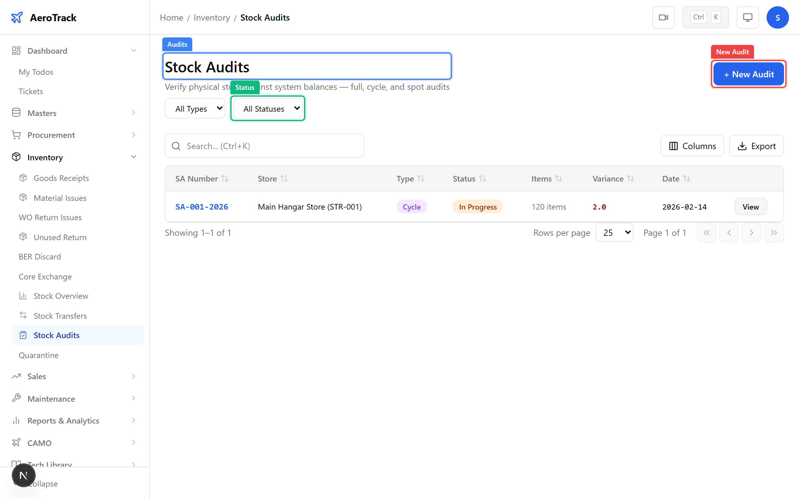 Stock audit detail with variance summary and lines table