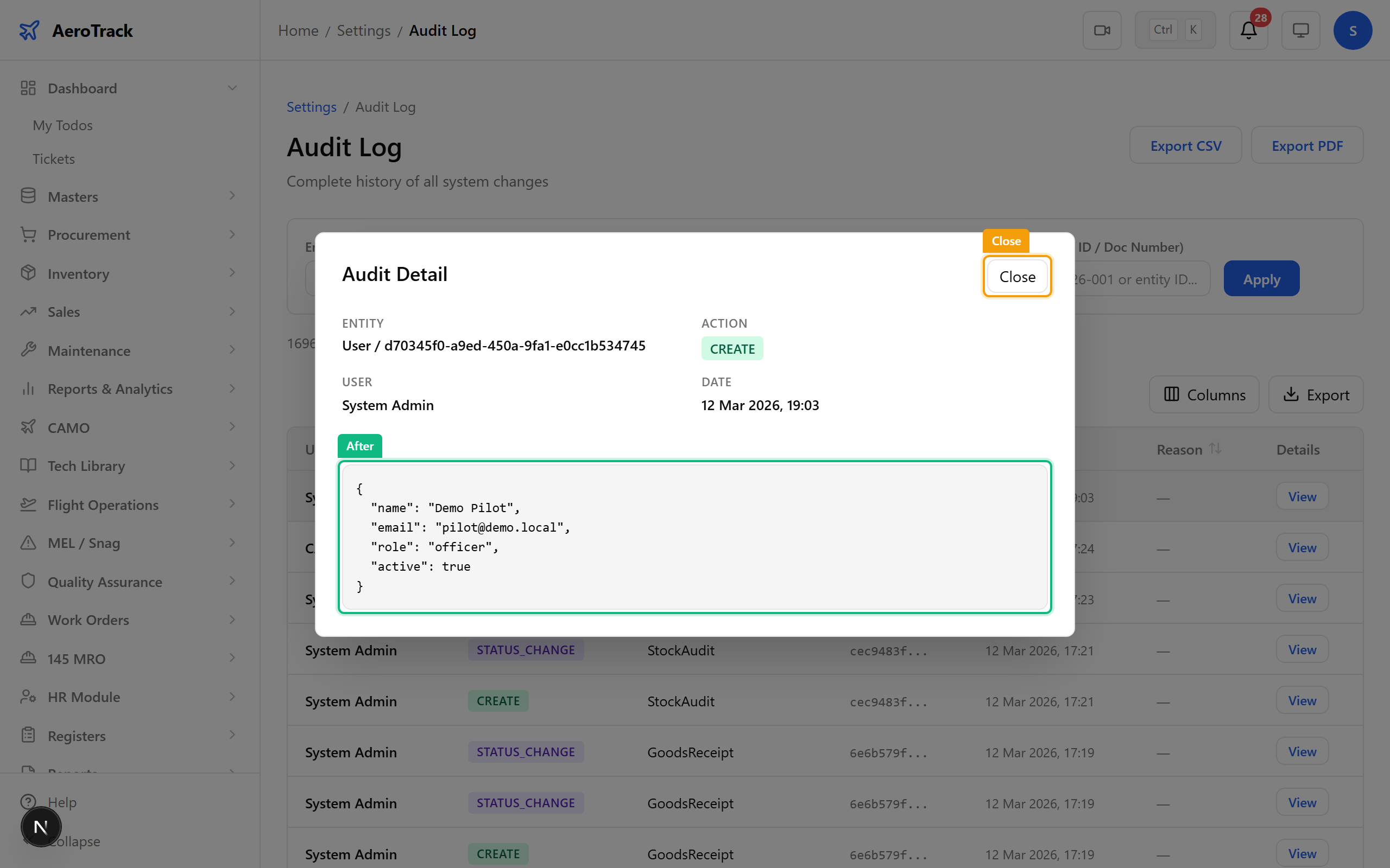 Audit detail modal showing before and after JSON